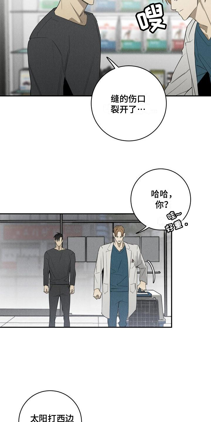 第6章：宠物医院14