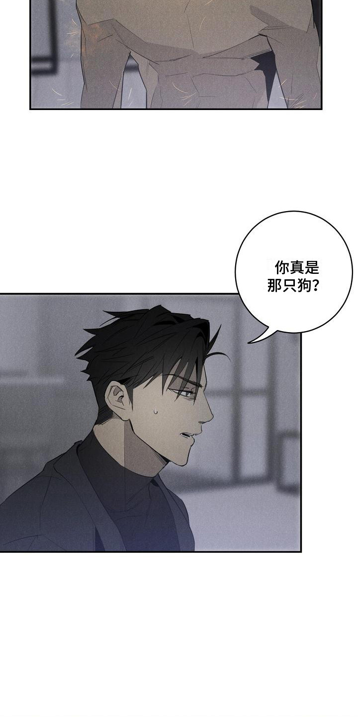 第5章：变身11