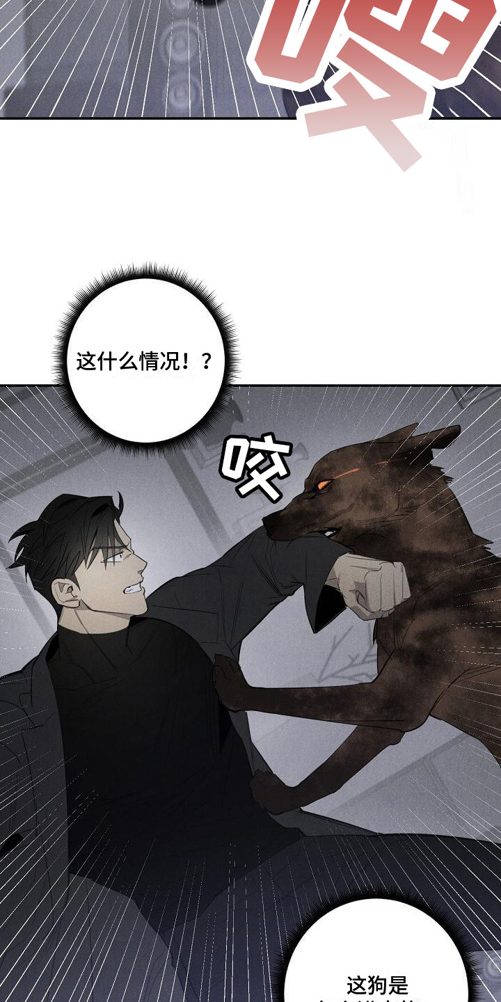 第5章：变身5