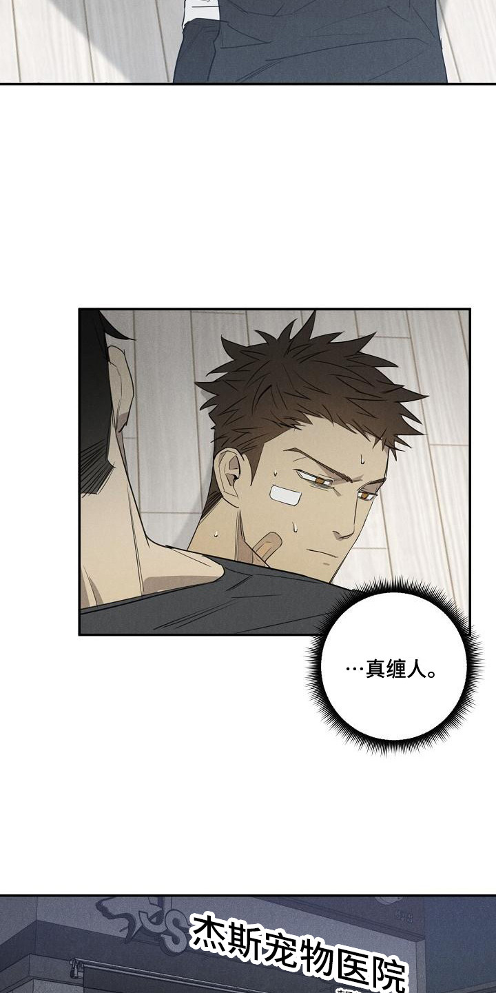 第6章：宠物医院8