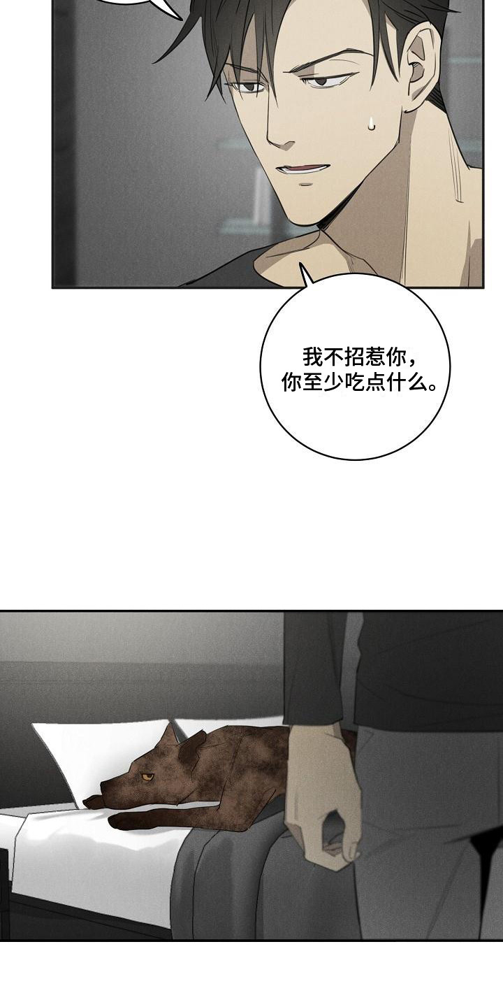 第8章：不正常15