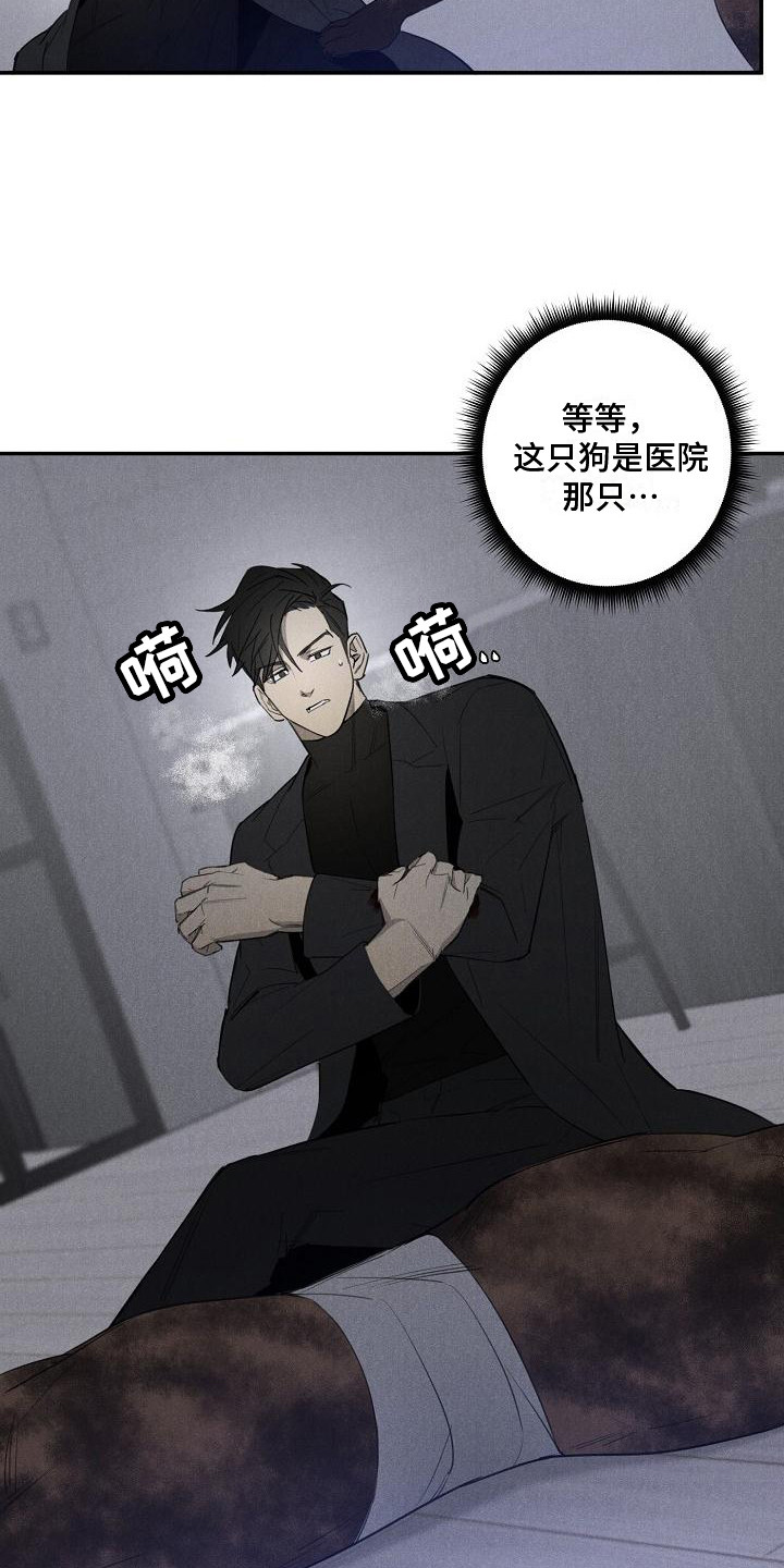 第5章：变身8