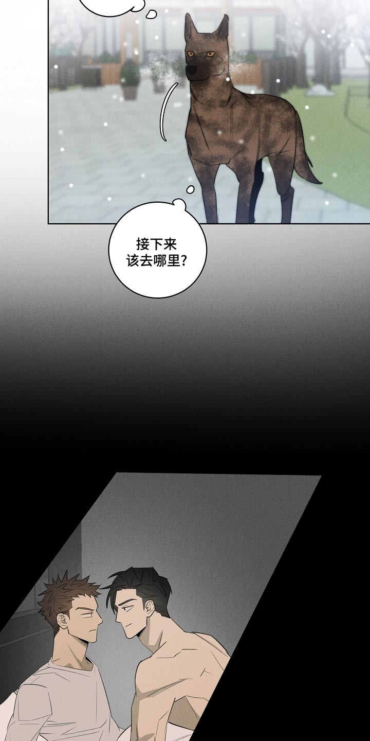 第22章：更孤单11