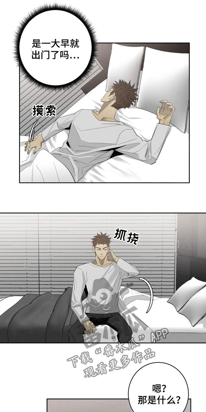 第17章：相片11