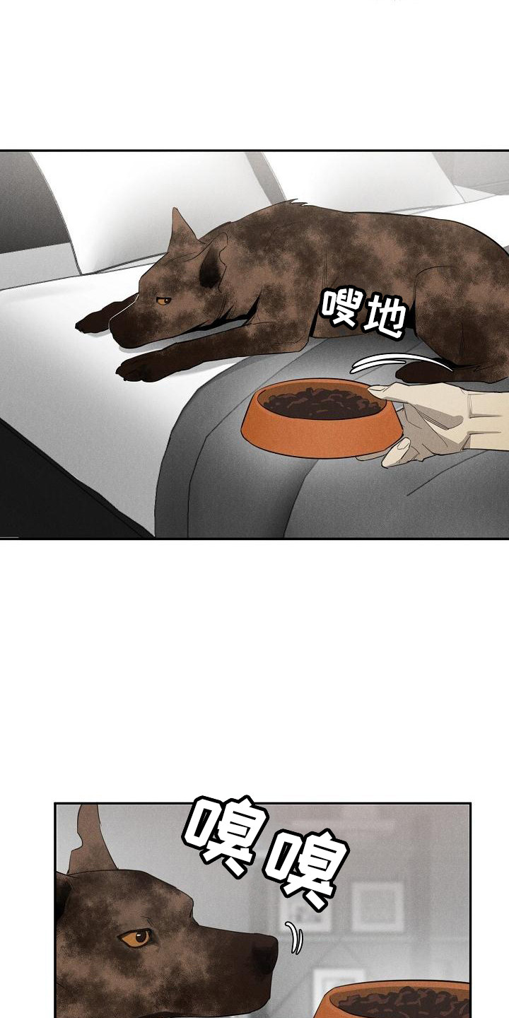 第8章：不正常11
