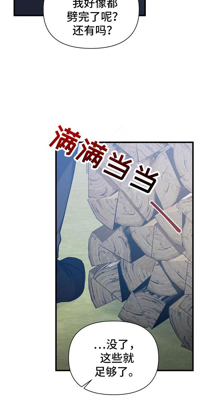 第29章：人格怀疑25