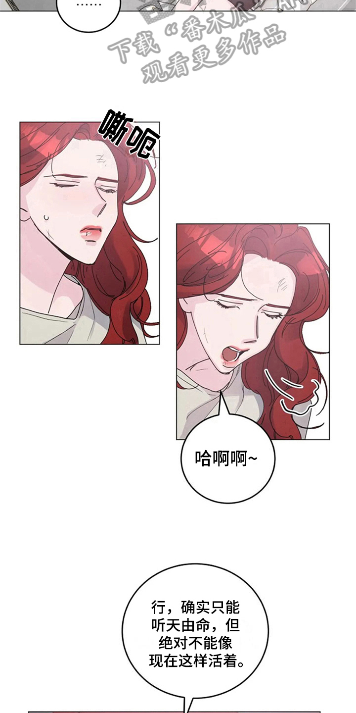 第22章：定规矩11