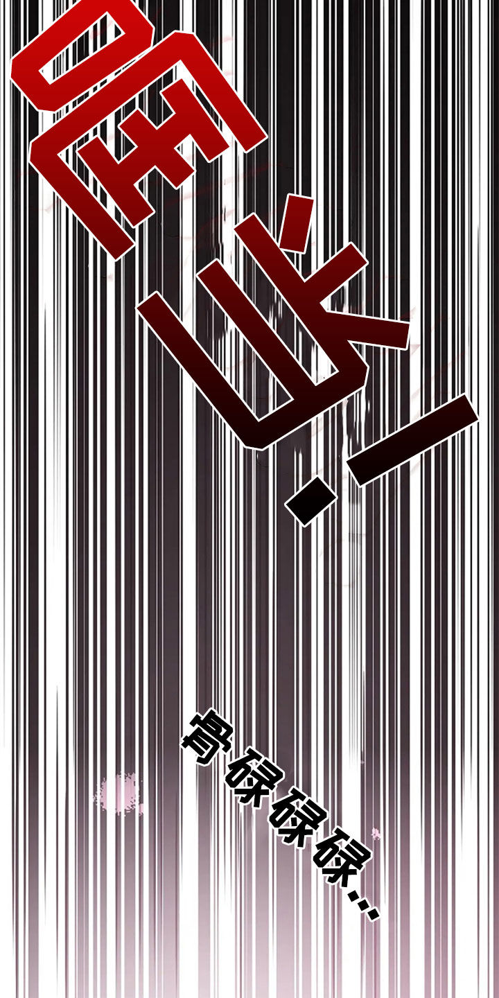 第51章：意外23