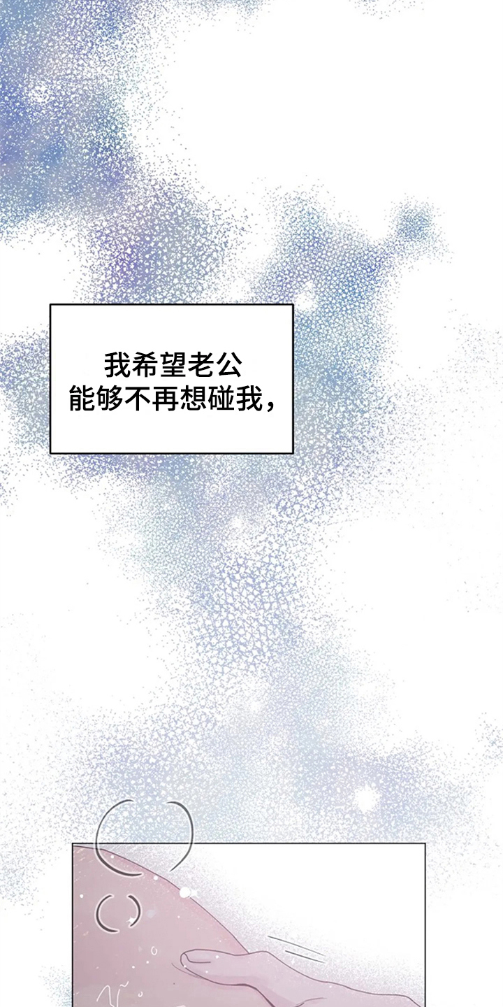 第19章：机会17