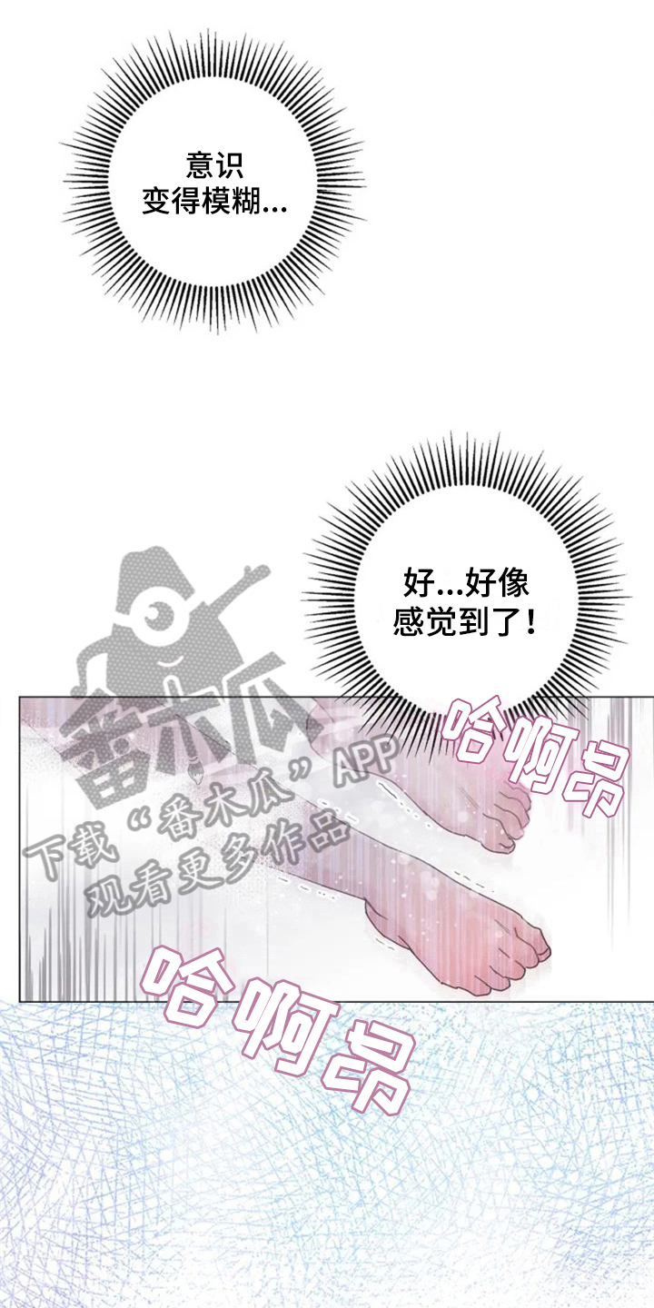 第11章：体验10