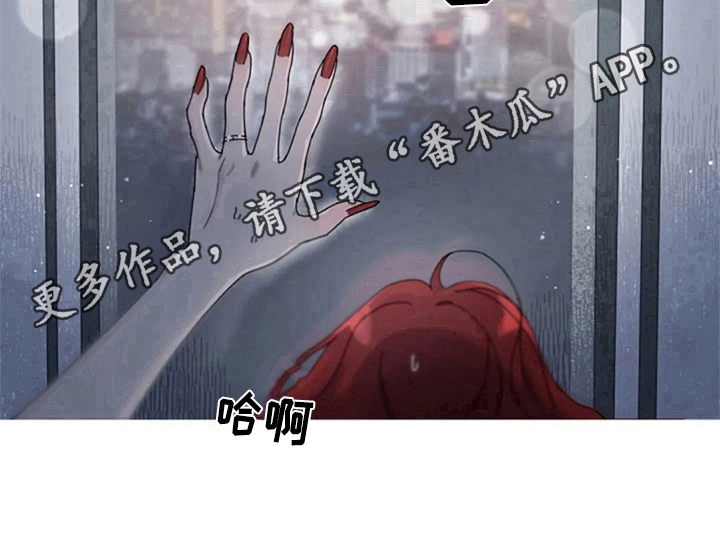 第11章：体验15