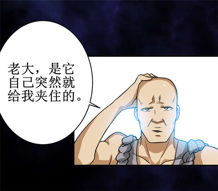 第20章：第二层墓29