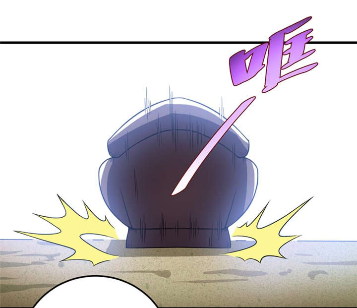 第29章：自投罗网（上）7