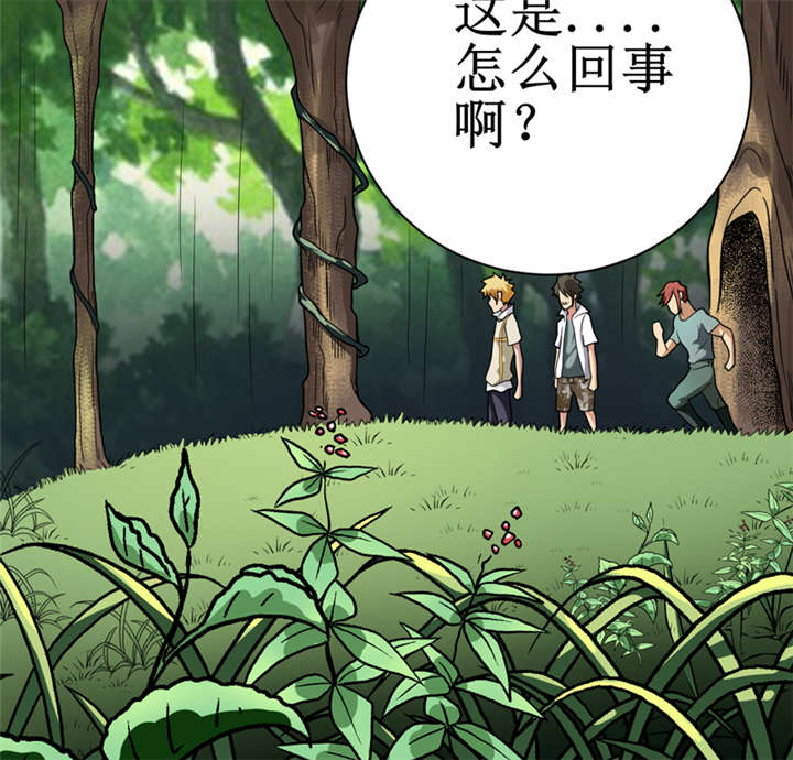 第15章：今晚你就去捡金吧！35