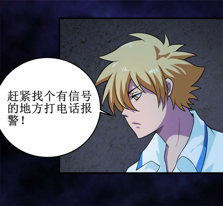 第41章：盗墓？31