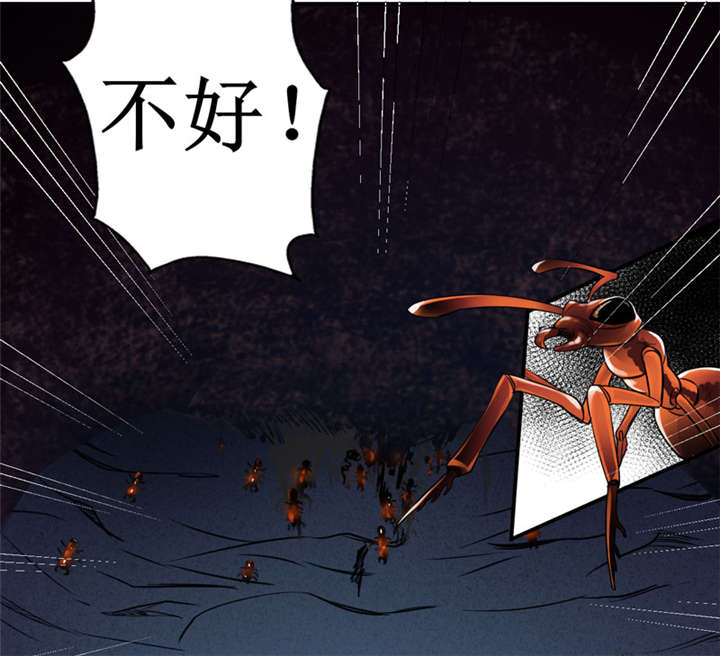 第12章：蚂蚁来了，快跑！41