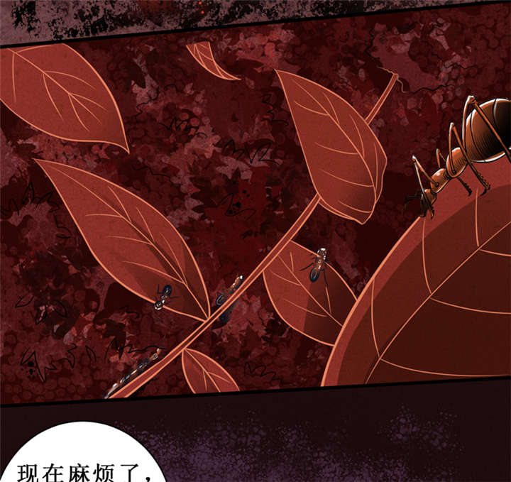 第13章：办法只有一个34