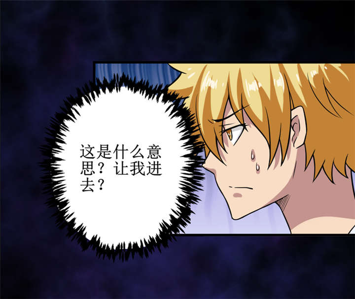 第29章：自投罗网（上）17