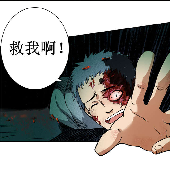 第12章：蚂蚁来了，快跑！20