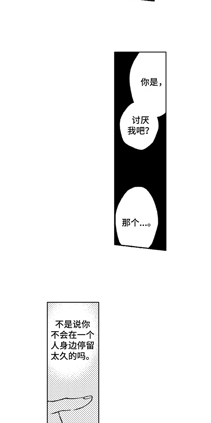 第16章：纠结14