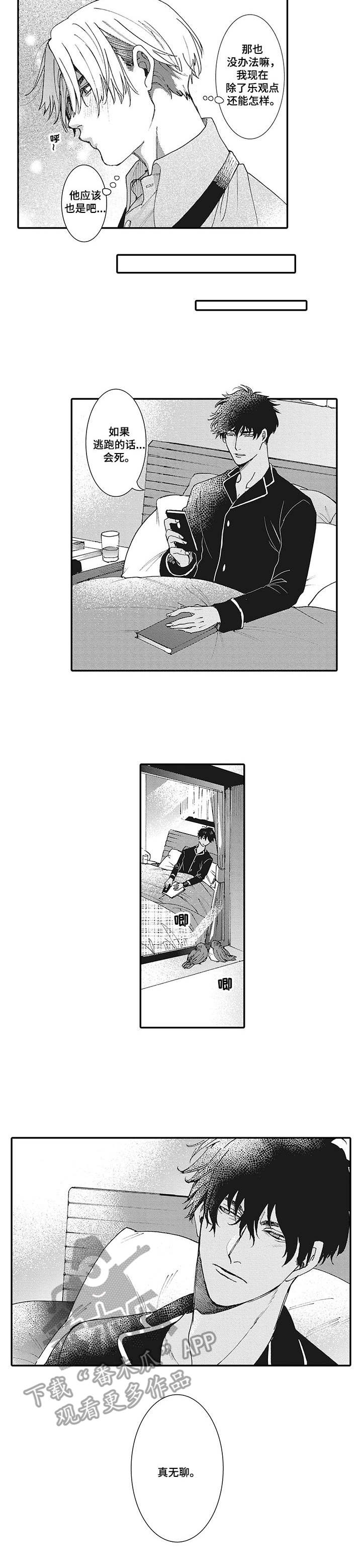 第7章：适应5