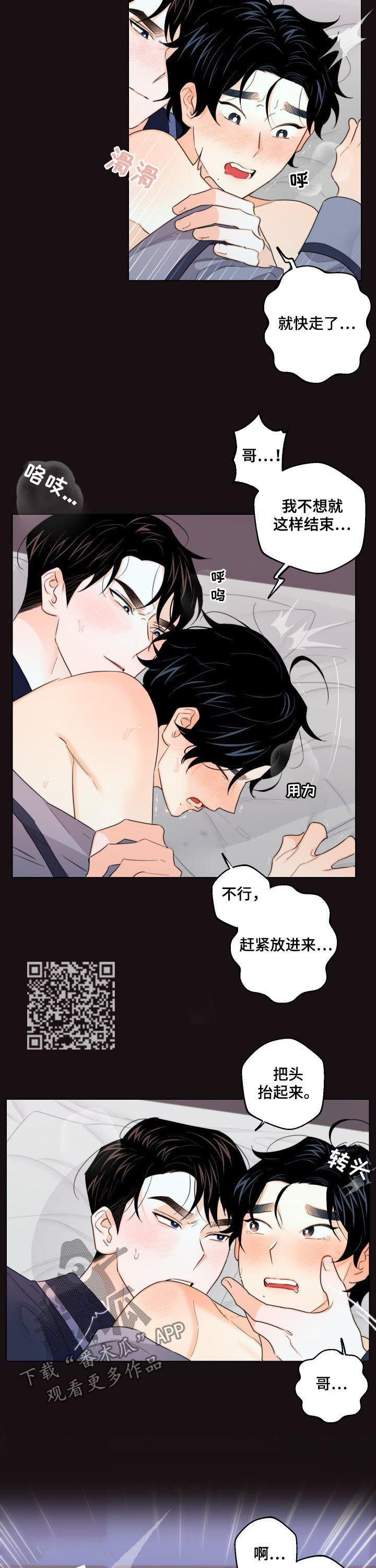 第43章：回来了3