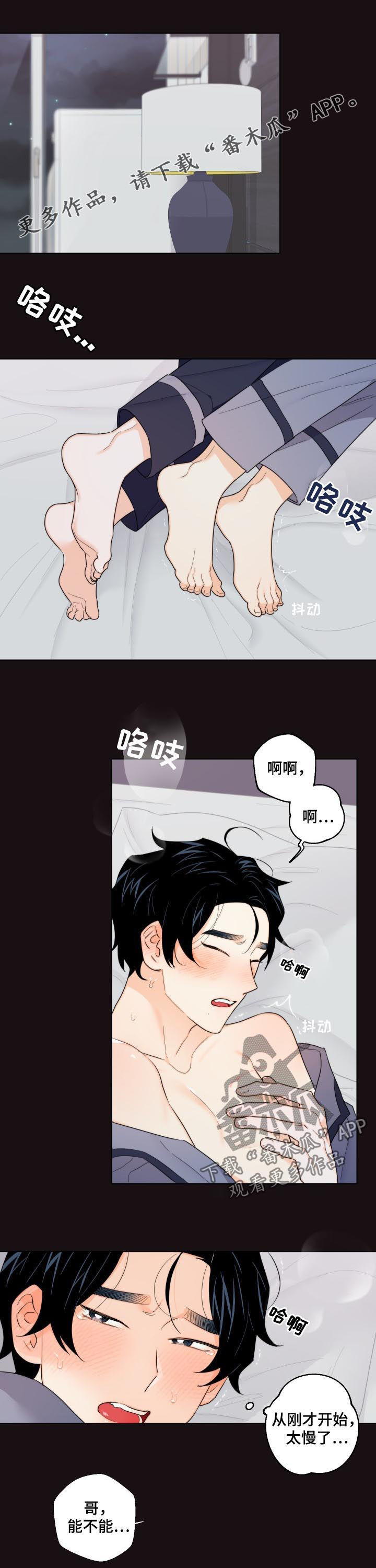 第43章：回来了0