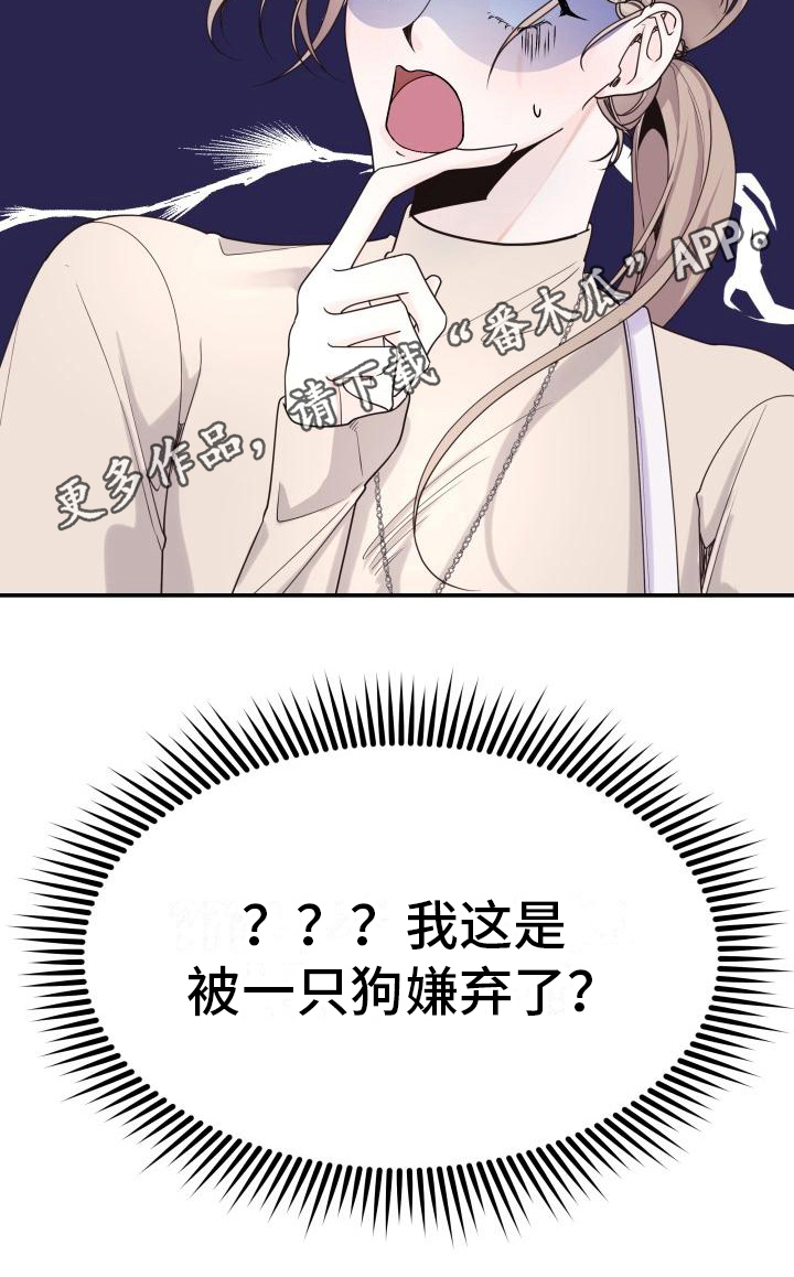 第6章：拒绝18