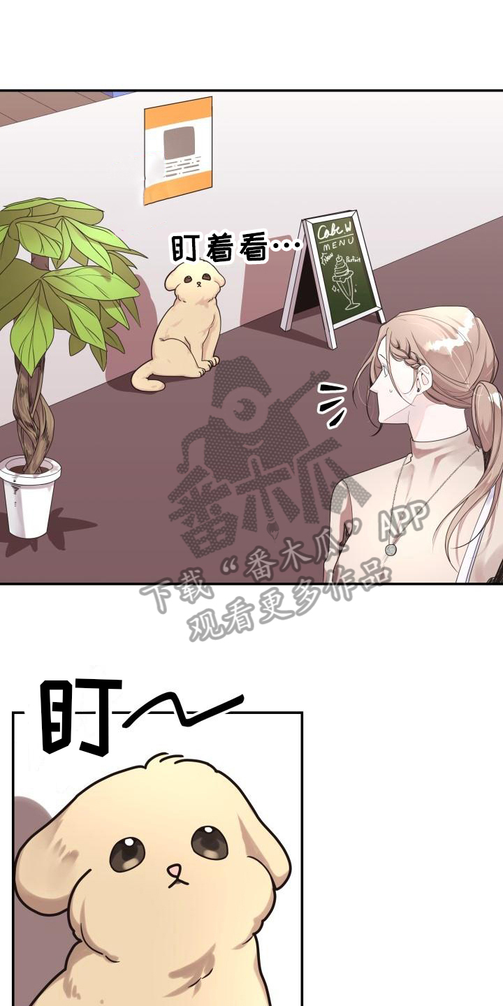 第6章：拒绝16