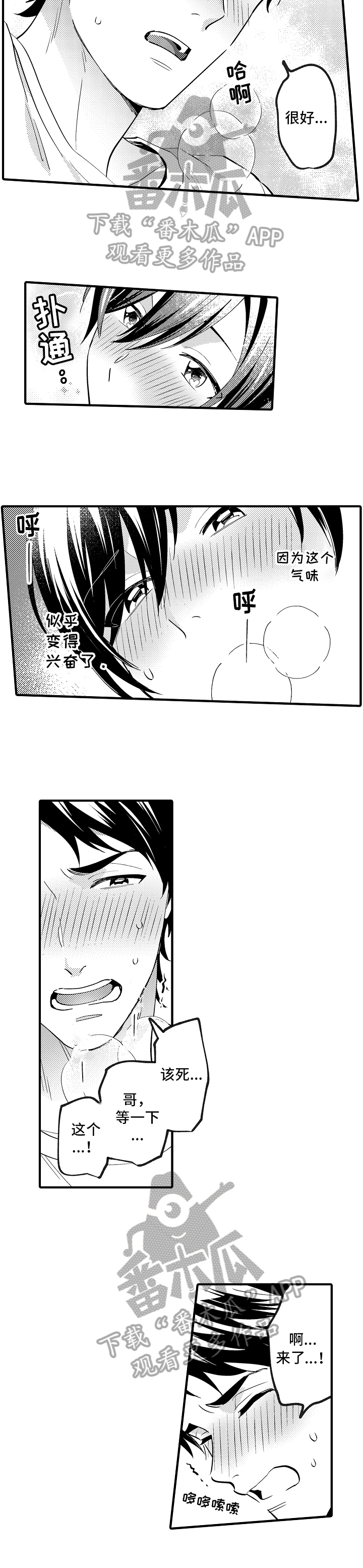 第39章：重要的事5