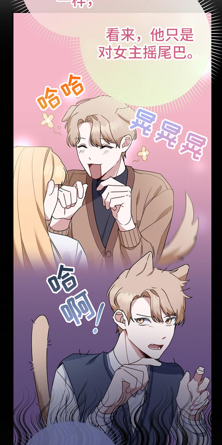 第9章：印象20