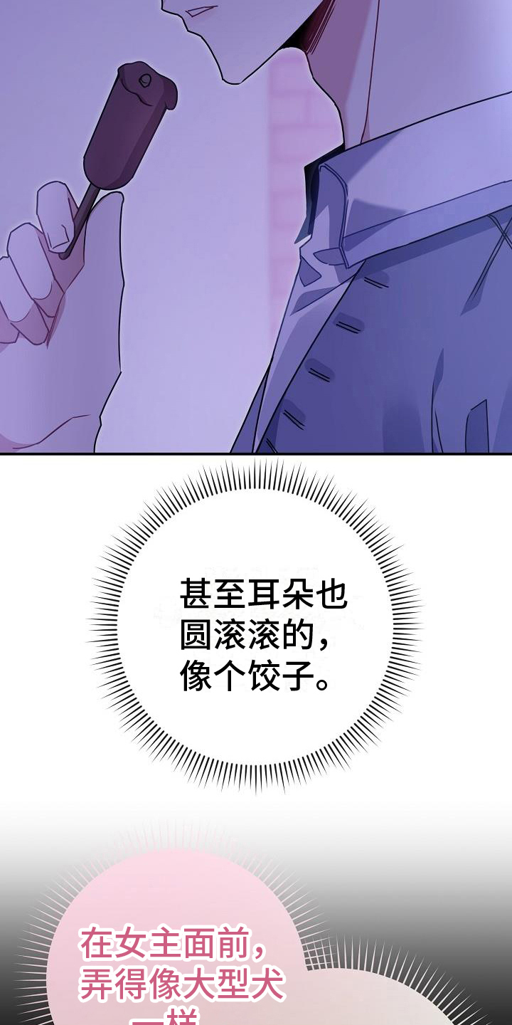 第9章：印象19