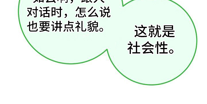 第24章：聊天20