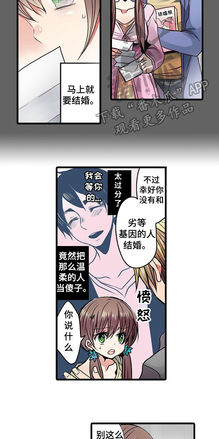 第15章：变脸5
