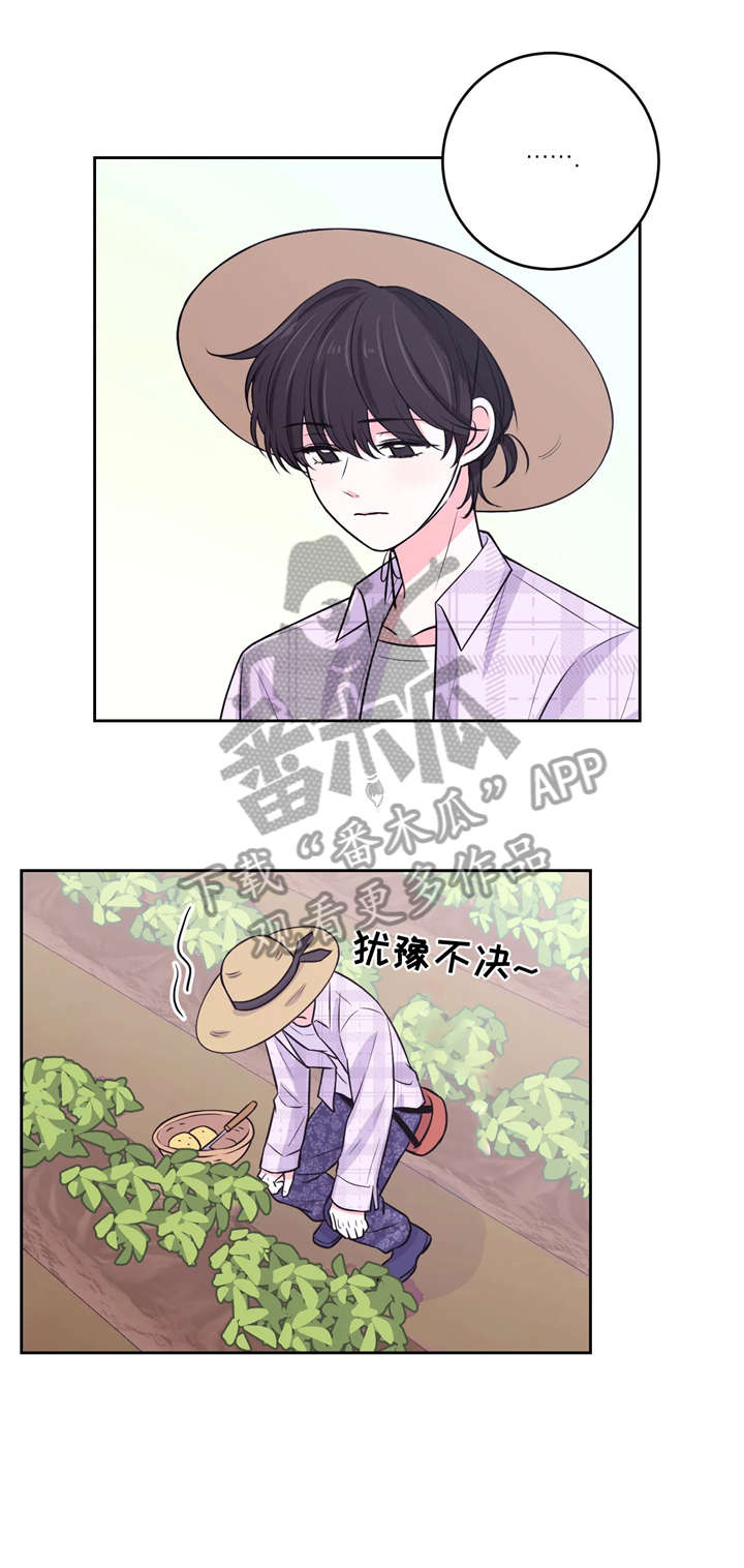 第19章：挖土豆10
