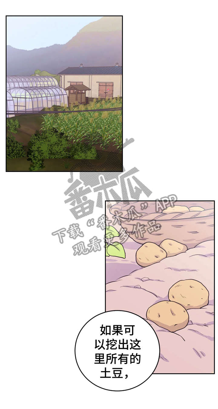 第19章：挖土豆6