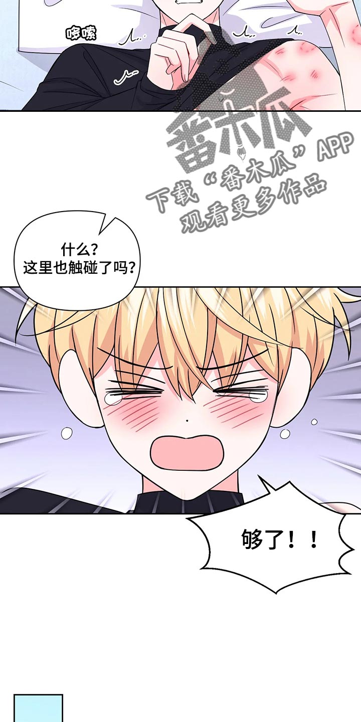 第164章：【番外】戒指（完结）13