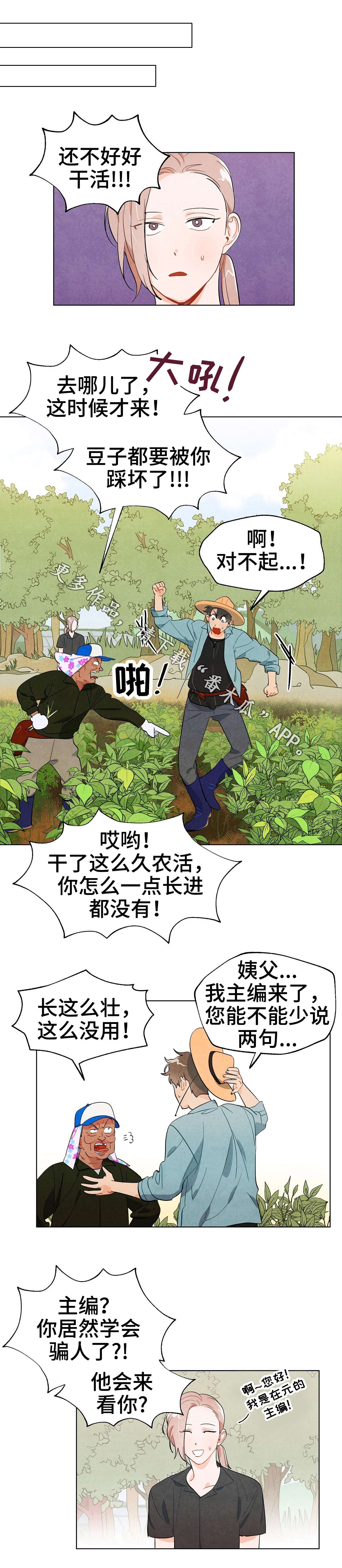 第13章：期待4