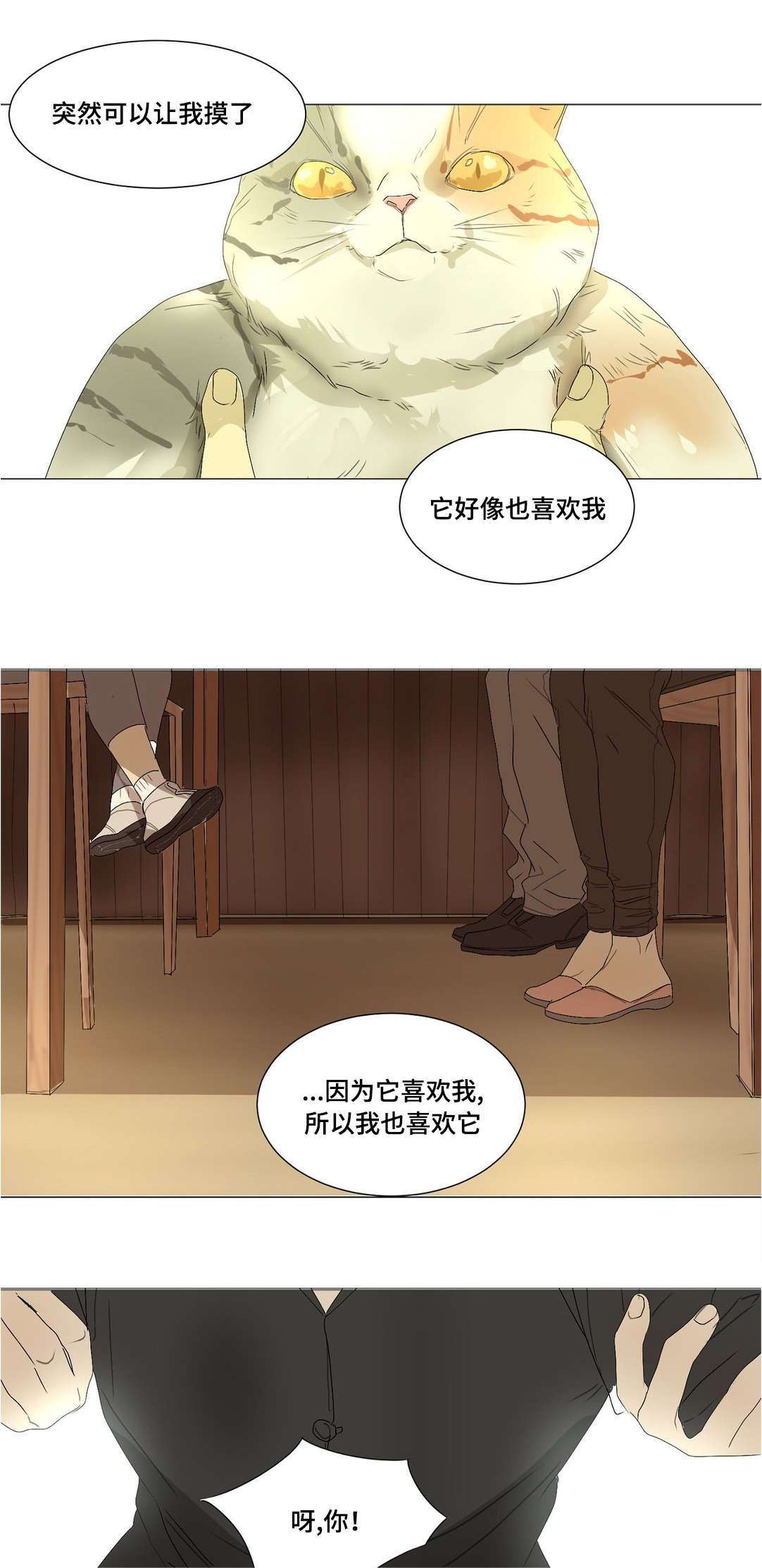 第24章：全都怪你10