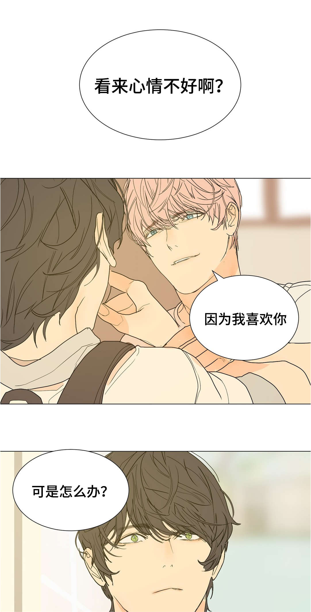 第41章：不要喜欢我3
