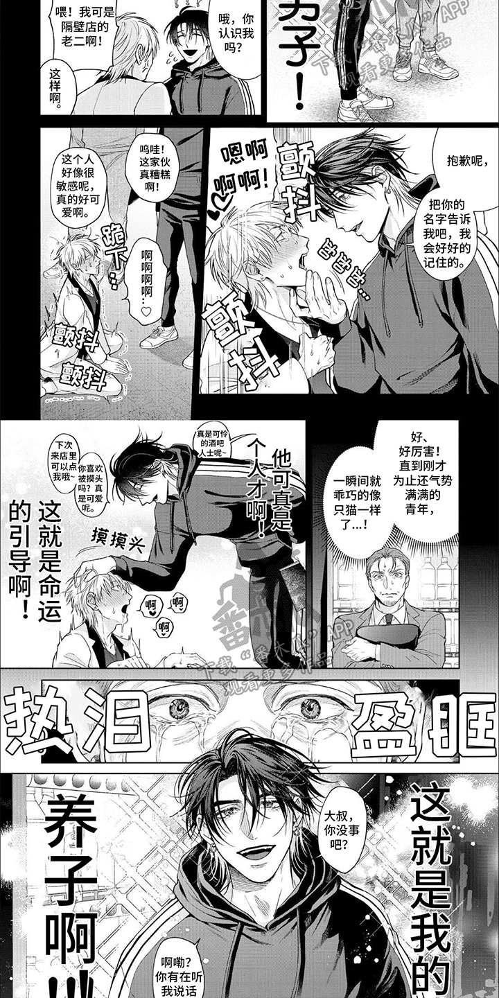 第12章：完美形象1