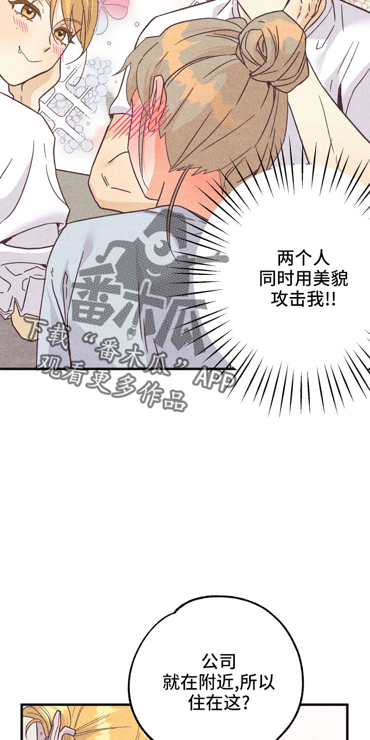 第33章：一见钟情24