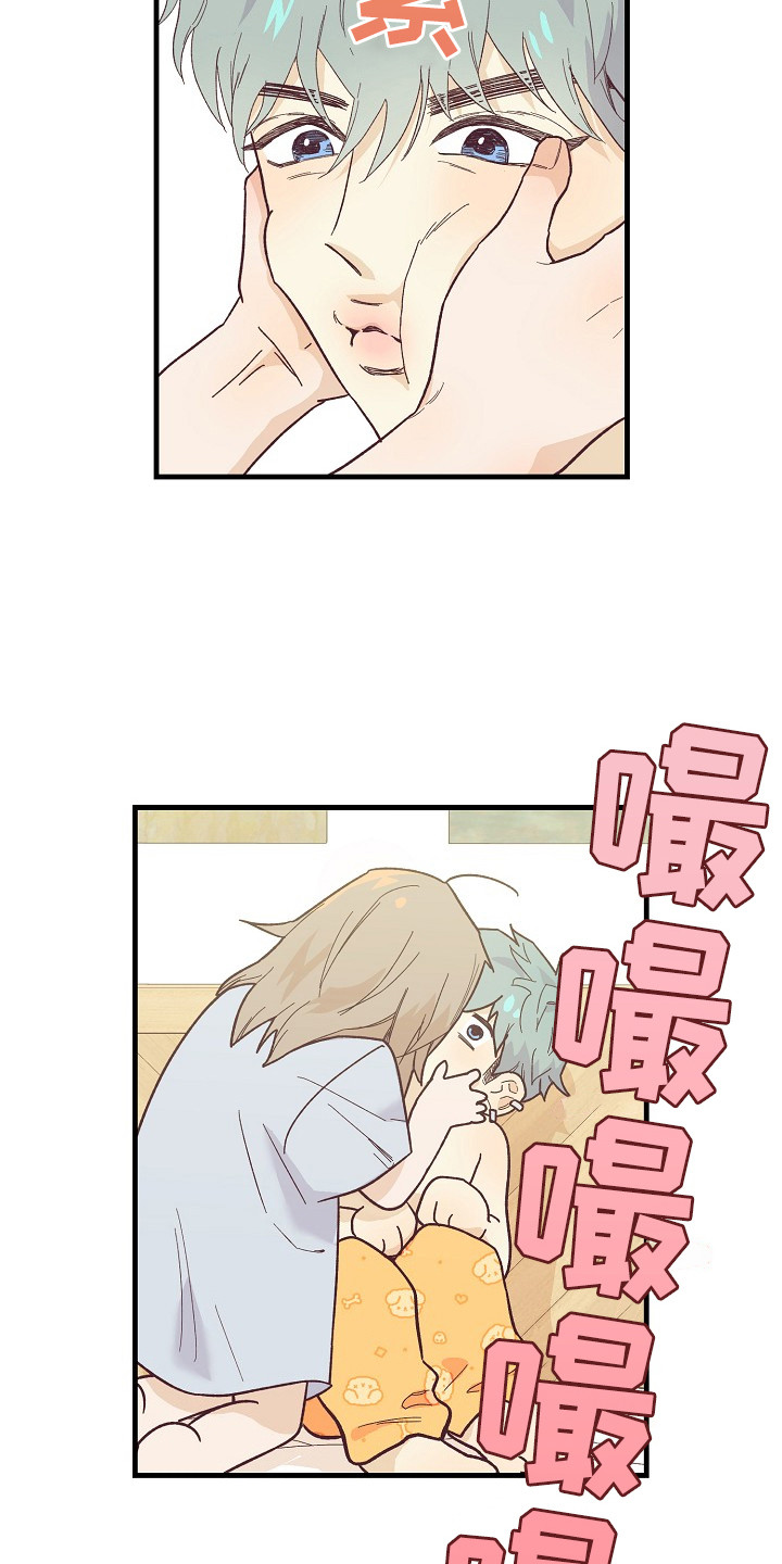 第11章：奖励3