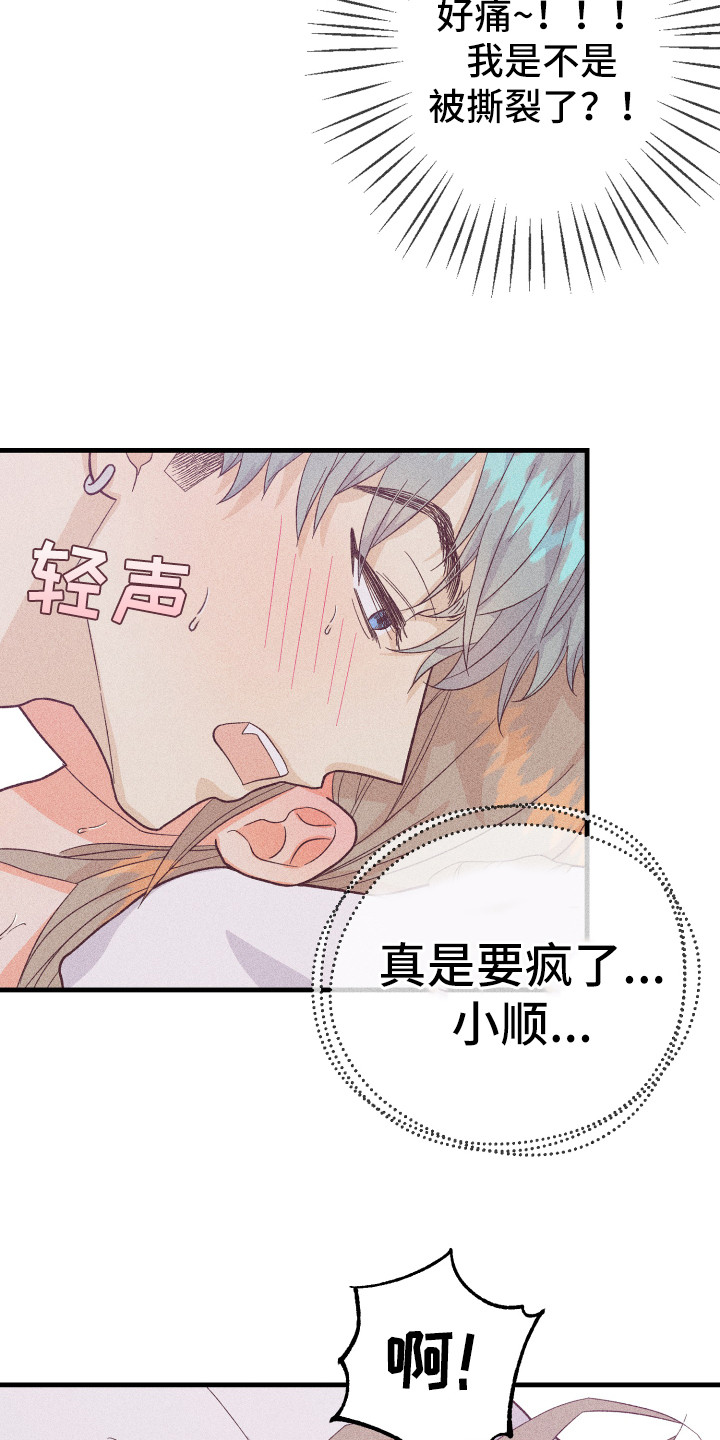 第13章：很满意9