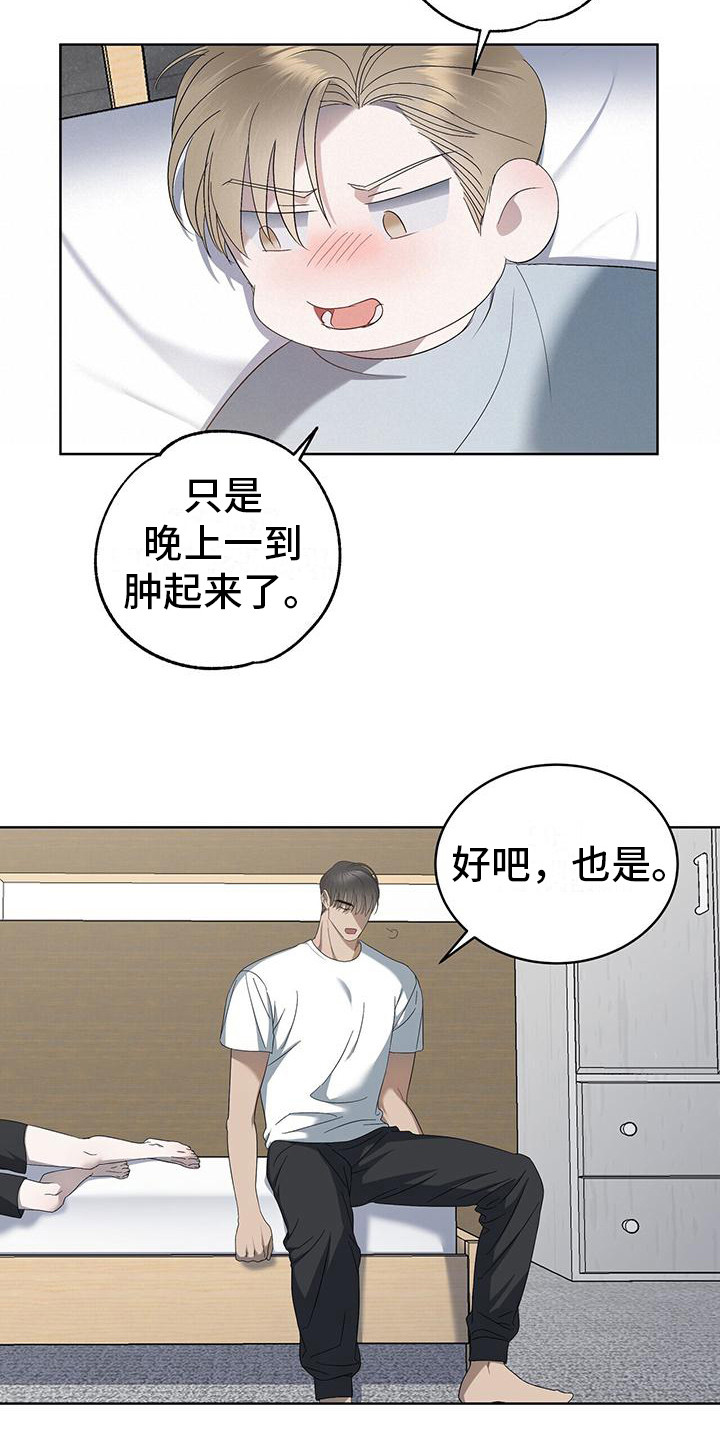 第15章：关注4