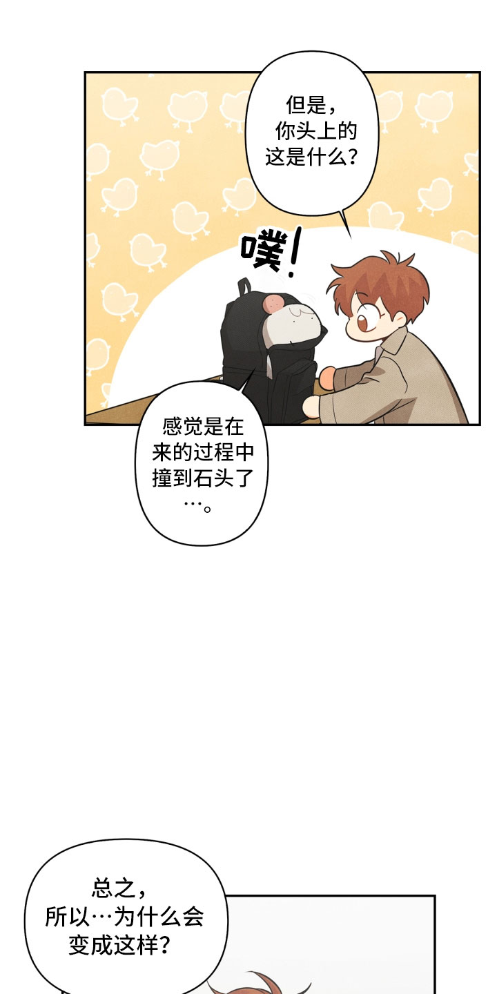 第6章：不知所措23