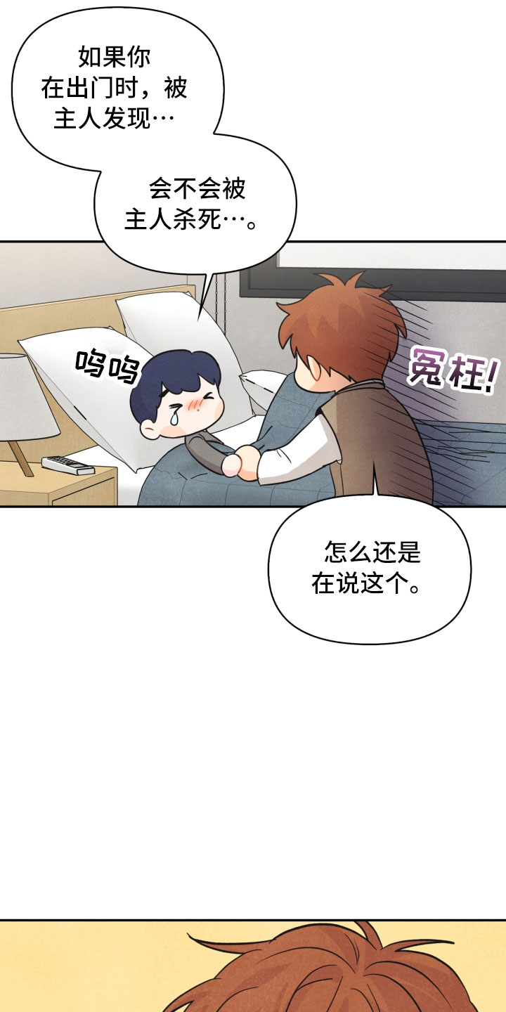 第17章：进化27