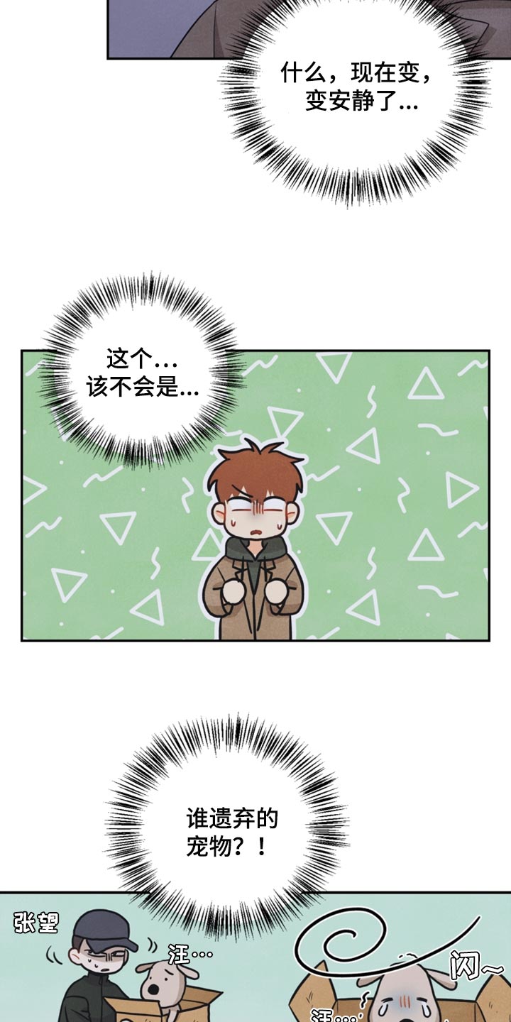 第53章：傻瓜2