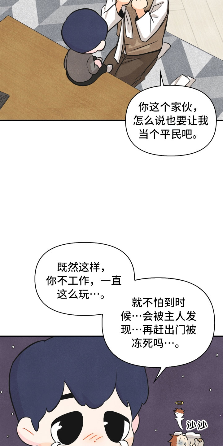 第17章：进化21