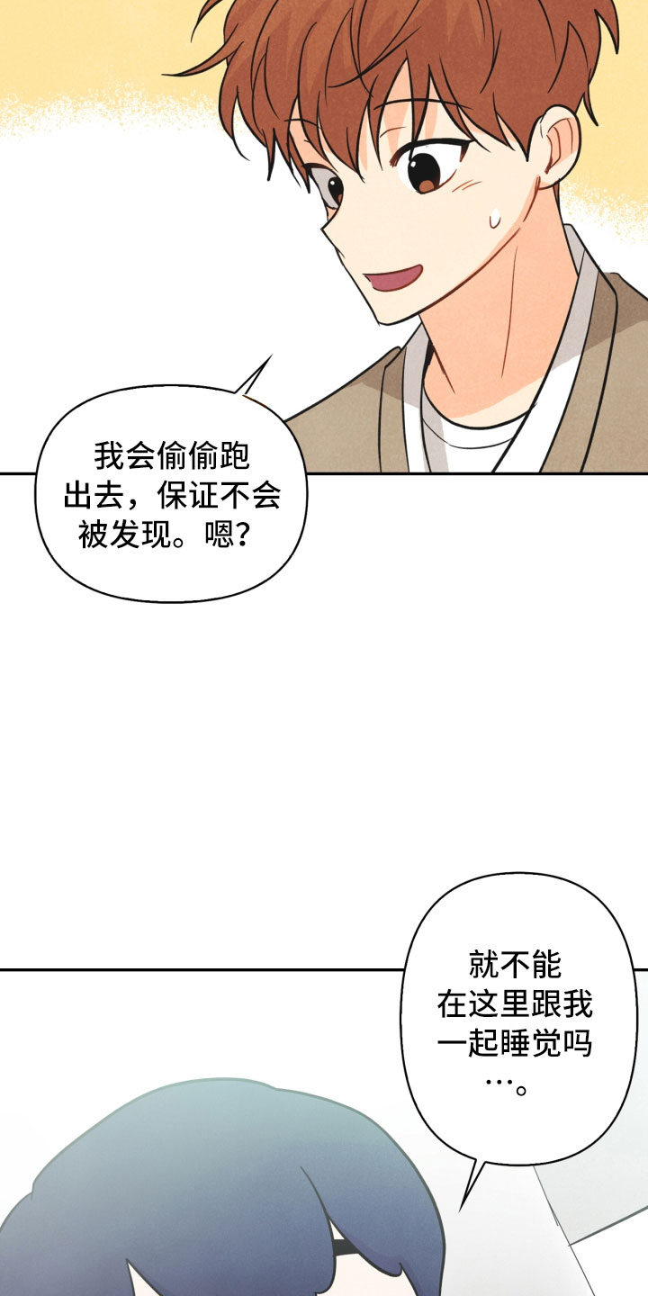 第17章：进化28